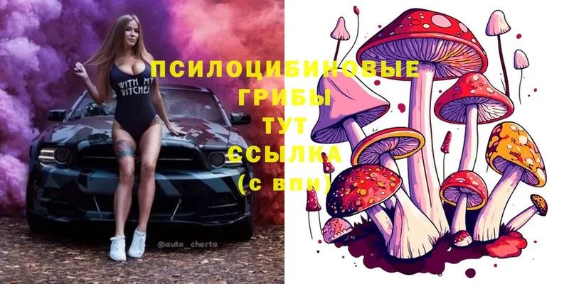 продажа наркотиков  Биробиджан  Галлюциногенные грибы Psilocybe 